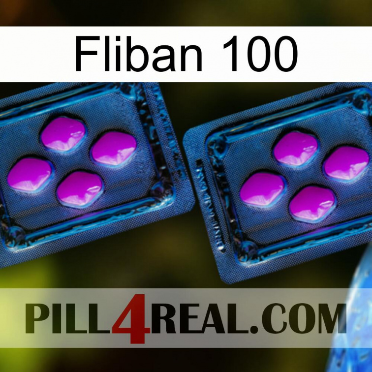 Fliban 100 03
